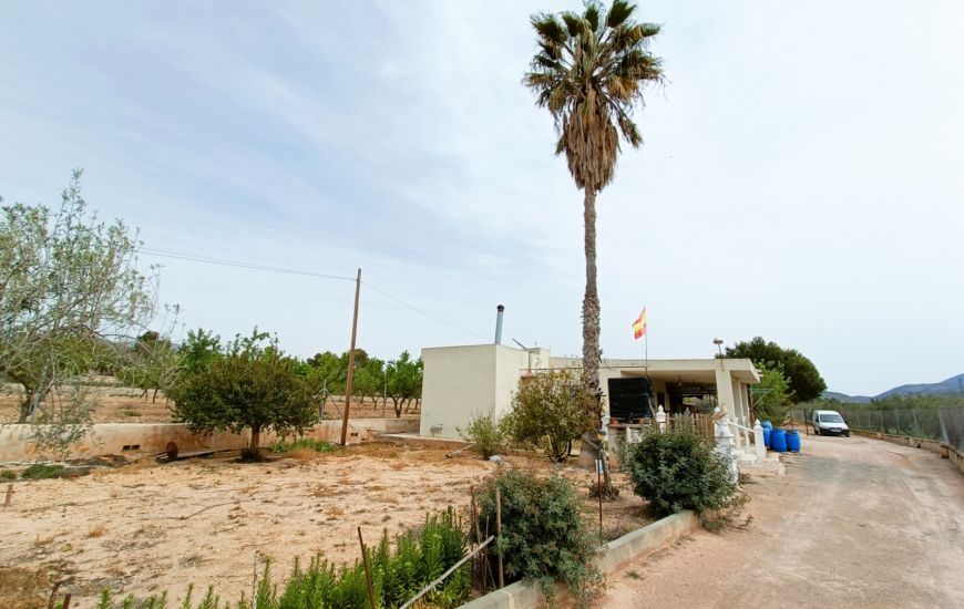 Sale - Villa - Hondon de los Frailes