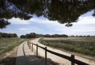 Venta - Bungalow - Torrevieja