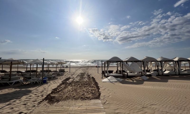 Venta - Apartamentos - Guardamar del Segura