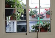 Sale - Villa - 