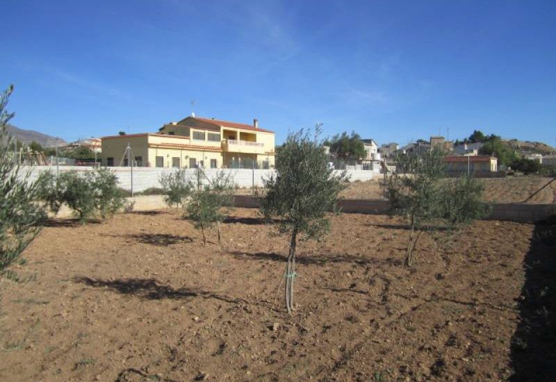 Sale - Finca - Hondon de los Frailes