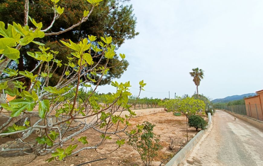 Sale - Villa - Hondon de los Frailes