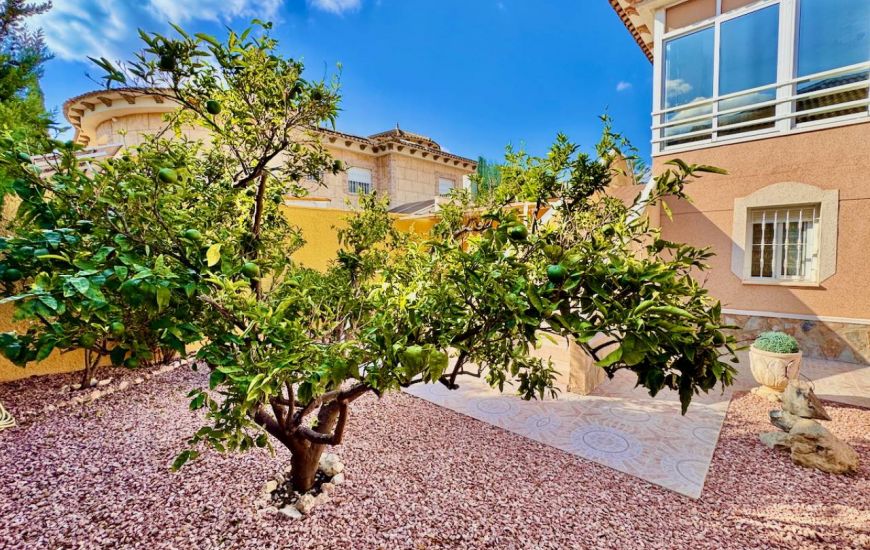 Sale - Villa - Benferri