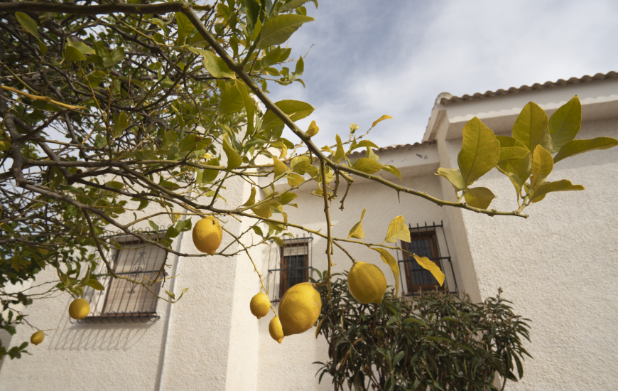 Venta - Villa - Ciudad Quesada