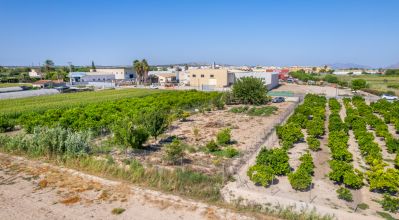 Land - Sale - Formentera Del Segura - Formentera de Segura