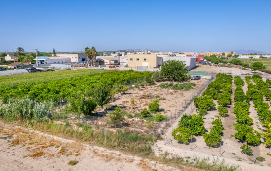 Sale - Land - Formentera Del Segura - Formentera de Segura