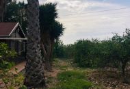 Venta - Apartamentos - Orihuela