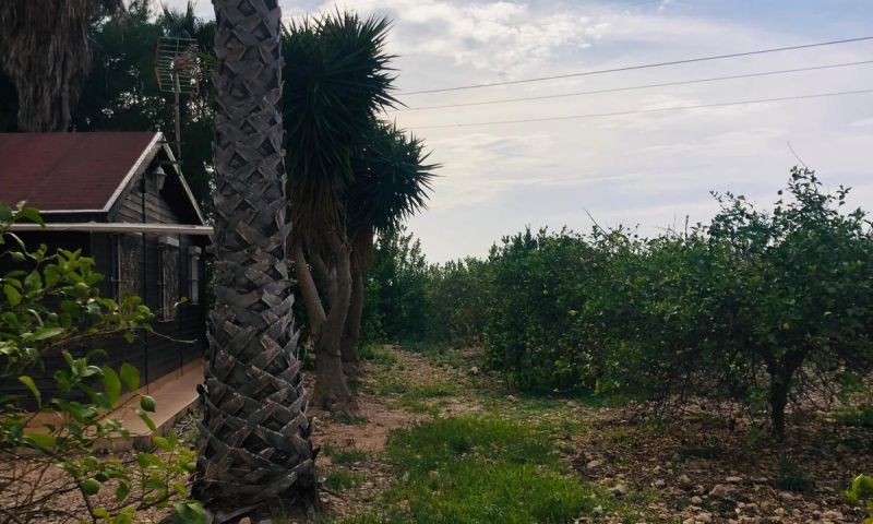 Venta - Apartamentos - Orihuela