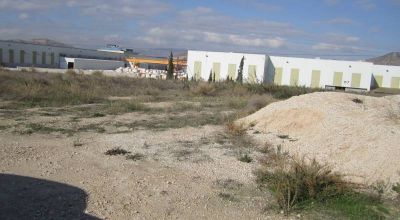 Terreno - Venta - Novelda - Novelda