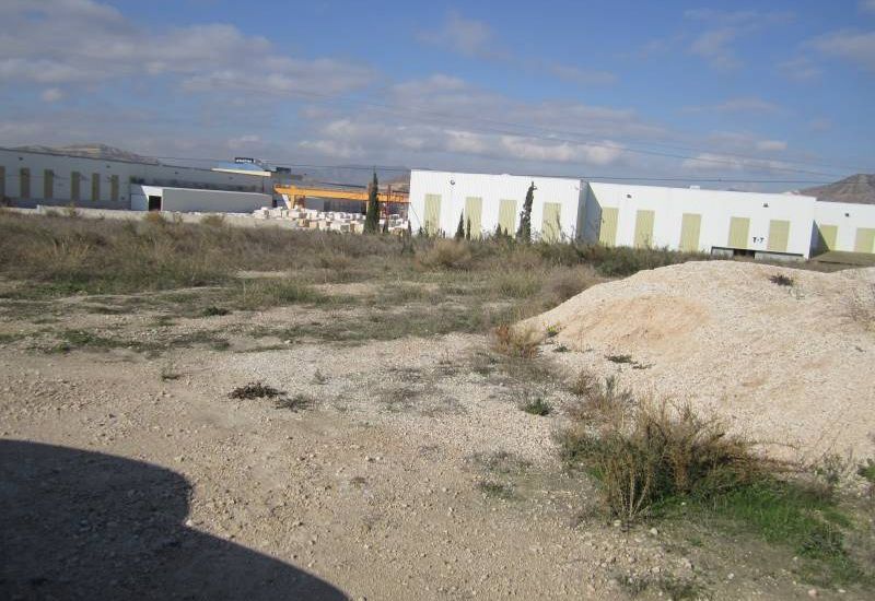 Venta - Terreno - Novelda