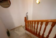 Sale -  - San Miguel de Salinas - 