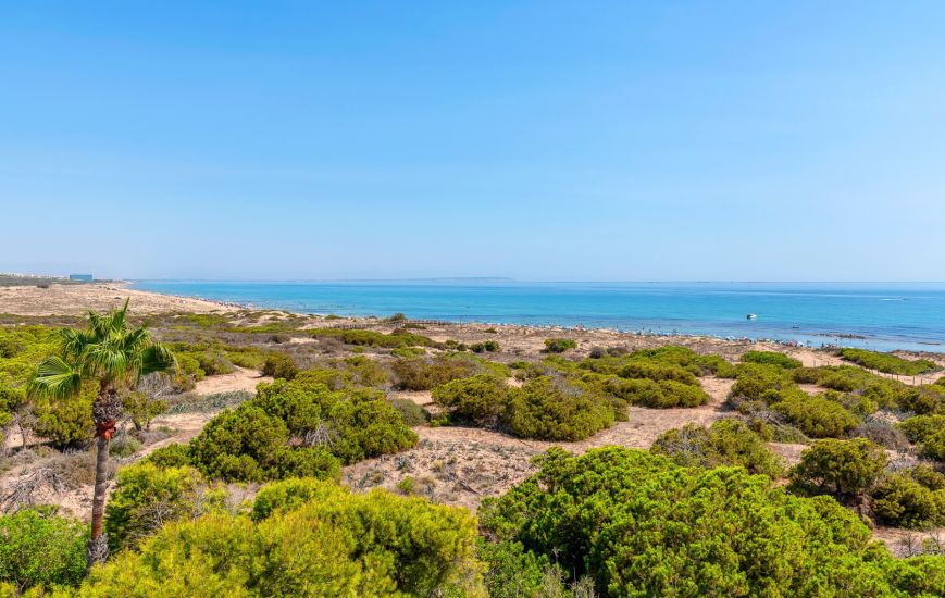 Sale - Apartments - La Mata