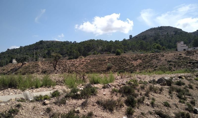 Sale - Land - Hondón de las Nieves