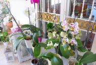 Sale - Finca Country Property - Dolores