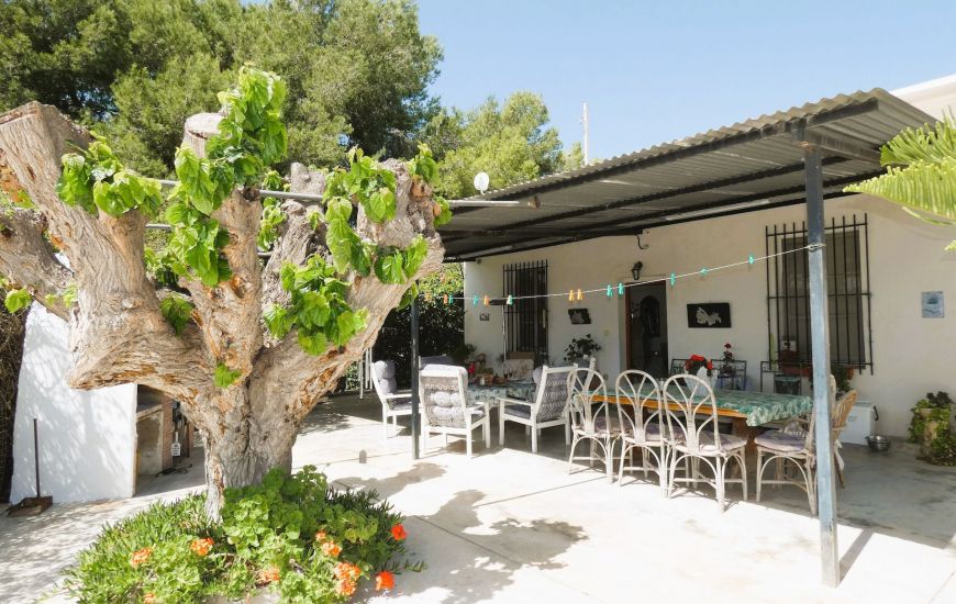 Sale - Finca - Dolores