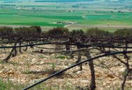 Sale - Apartments - Yecla