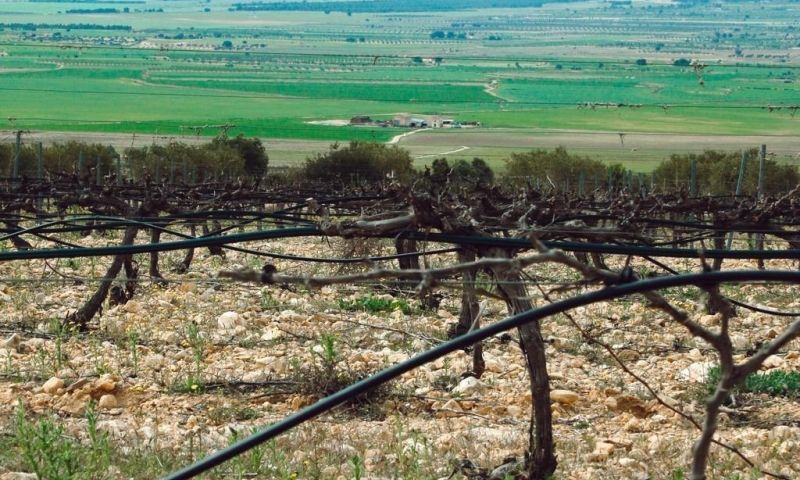 Sale - Apartments - Yecla