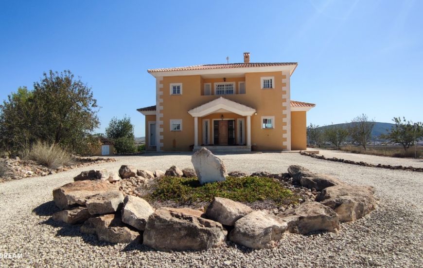 Sale - Finca - Pinoso