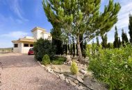 Sale - Finca - Pinoso