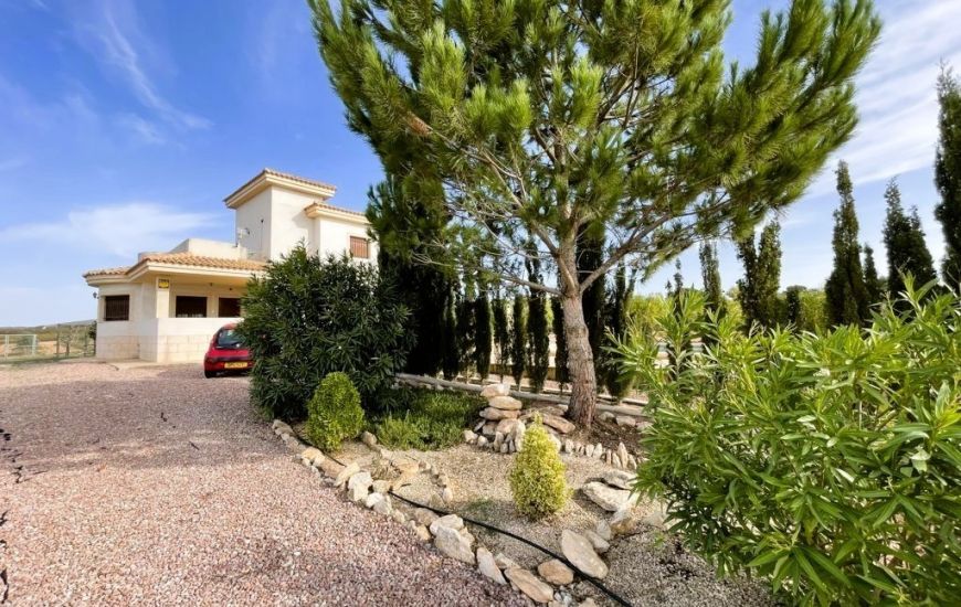 Sale - Finca - Pinoso
