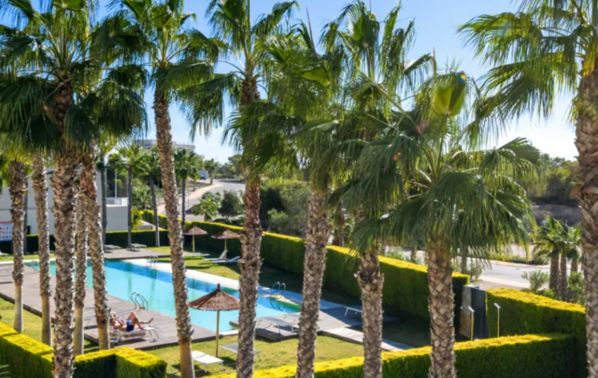 Sale - Apartments - San Miguel de Salinas - San Miguel De Salinas