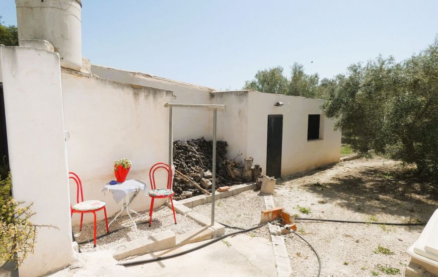 Sale - Finca - Dolores