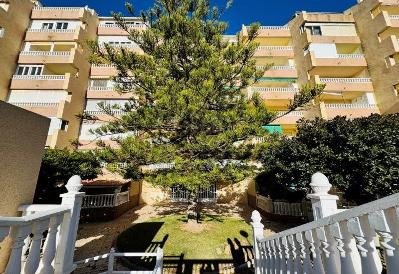Venta - Apartamentos - La Mata