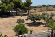 Sale - Finca - Torrellano