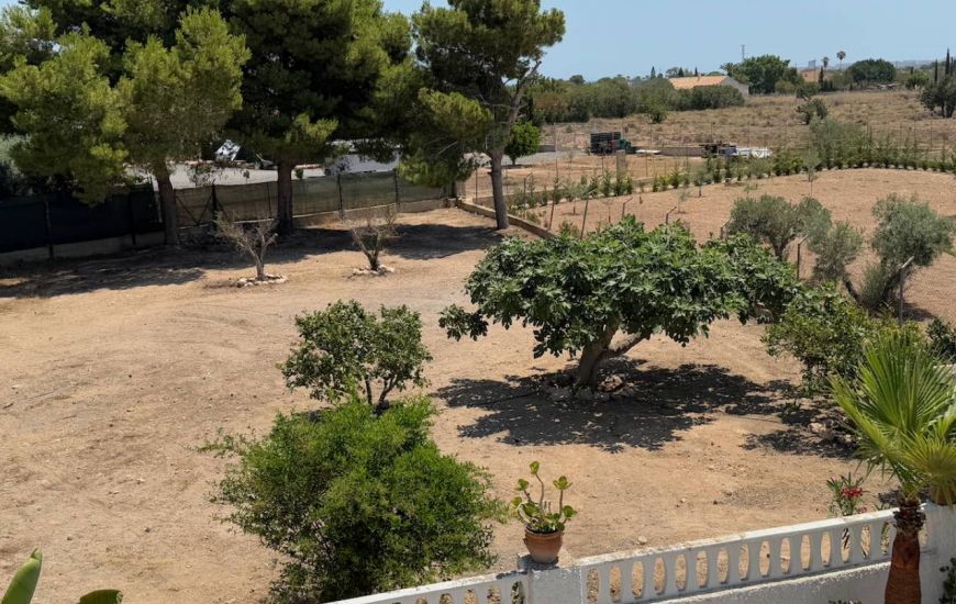 Sale - Finca - Torrellano