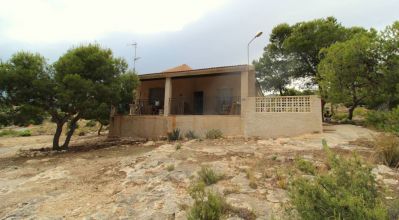 Country Property - Sale - Crevillente - Crevillente