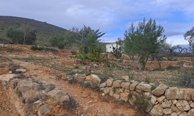 Sale - Country Property - Hondón de las Nieves