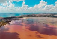 Venta - Apartamentos - Torrevieja