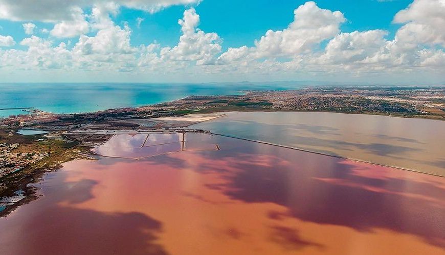 Venta - Apartamentos - Torrevieja