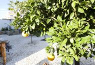 Venta - Villa - Ciudad Quesada