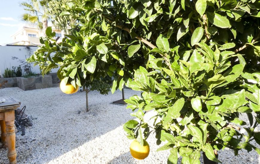 Venta - Villa - Ciudad Quesada