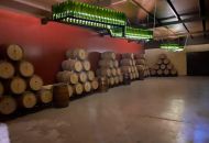 Venta - Comercial - Albacete