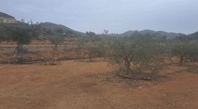 Land - Sale - Hondón de las Nieves - Hondón de las Nieves