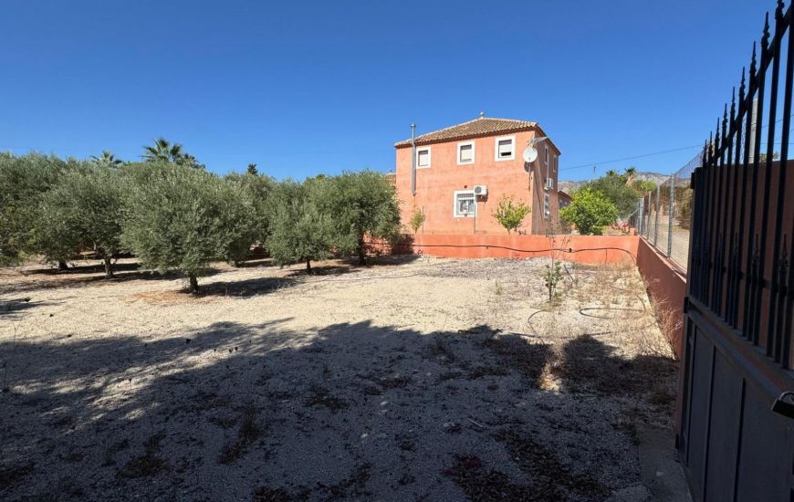 Sale - Commercieel - Albatera