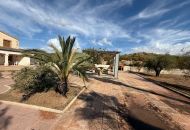 Sale - Villa - Aspe