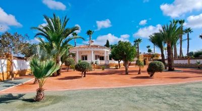 Apartments - Sale - Catral - Catral