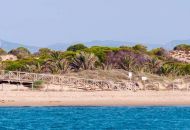 New Build - Apartments - Guardamar del Segura