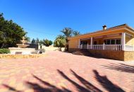 Sale - Finca - Catral