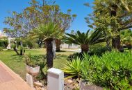 Venta - Apartamentos - Torrevieja