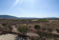 Sale - Finca - Pinoso