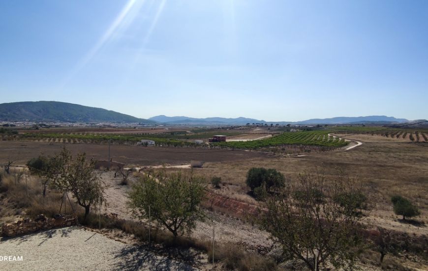 Sale - Finca - Pinoso