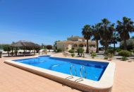Sale - Villa - Daya Nueva