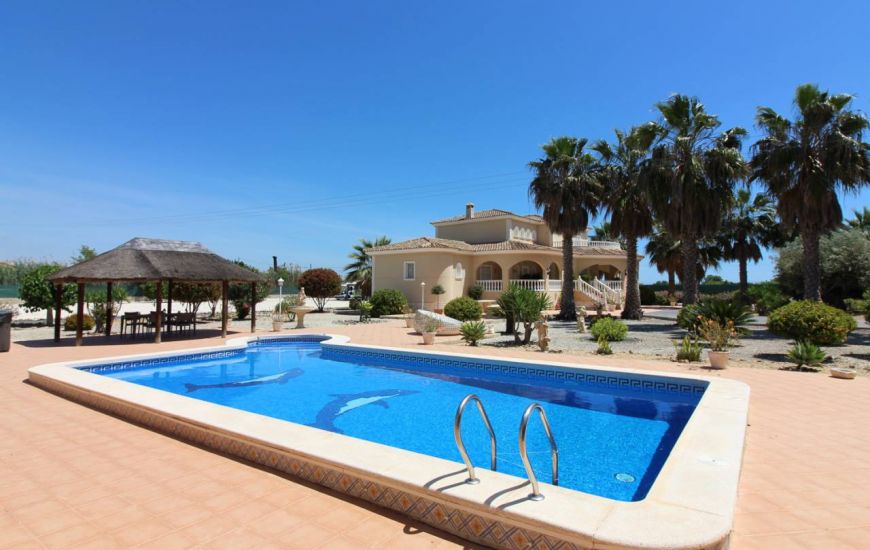 Sale - Villa - Daya Nueva