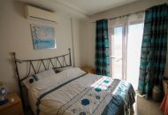 Sale -  - San Miguel de Salinas - 