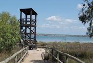 Sale - Apartments - La Mata - 