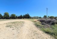 Sale - Finca - Salinas